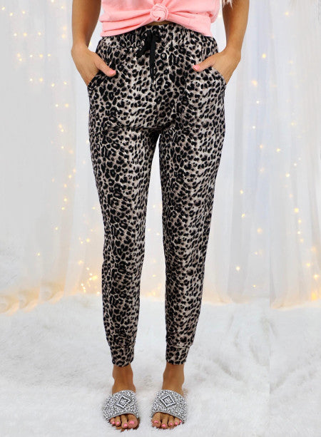 Last Lap Leopard Joggers The Perfect Touch SA